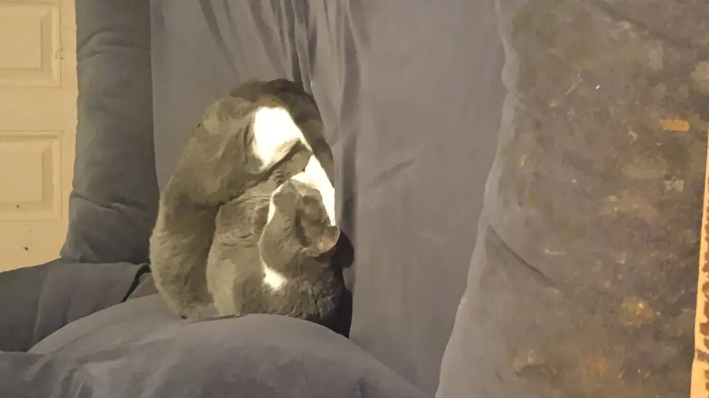 ai character: yssssjsjehabbabsbs background