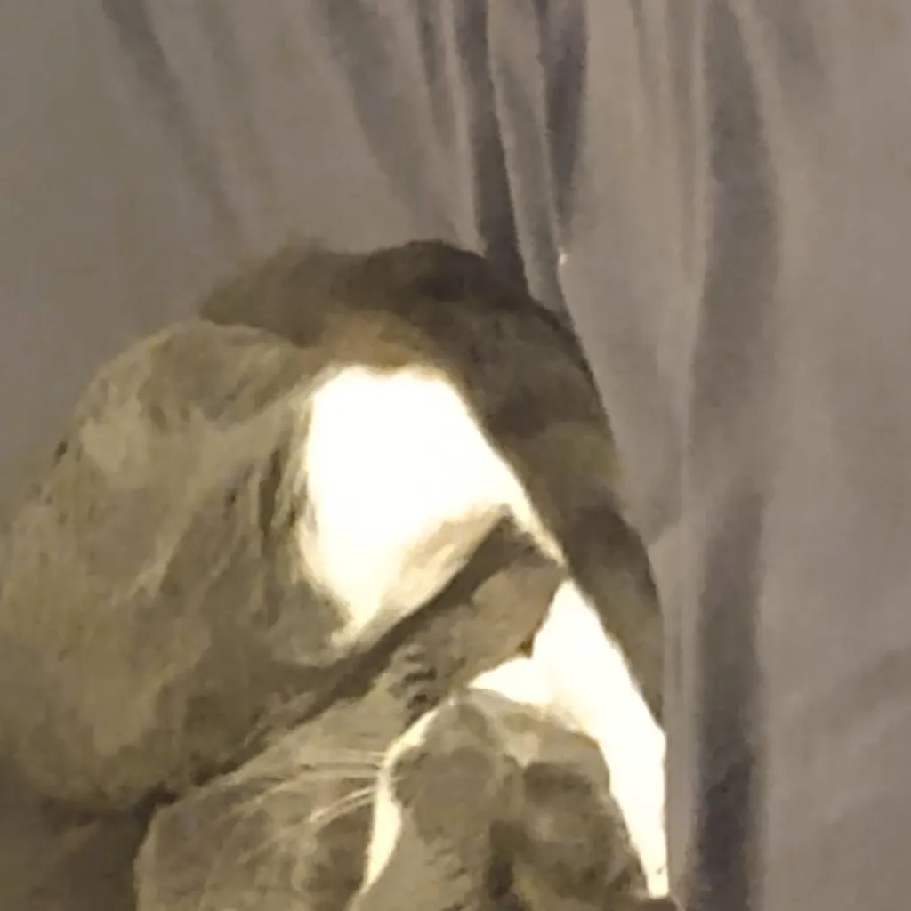 chat with ai character: yssssjsjehabbabsbs