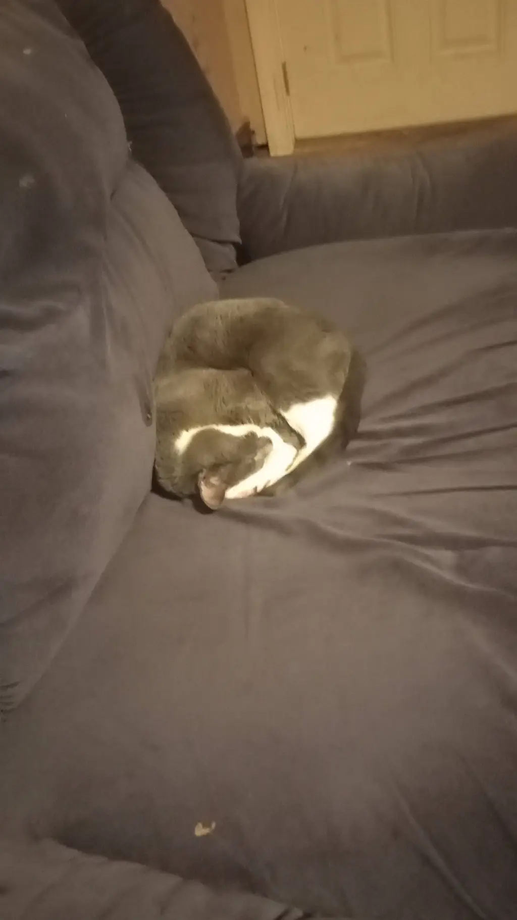 ai character: Accident bed background