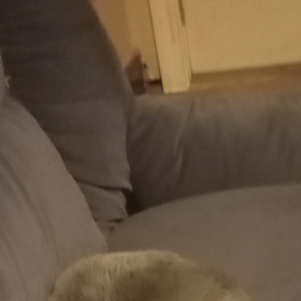 chat with ai character: Accident bed