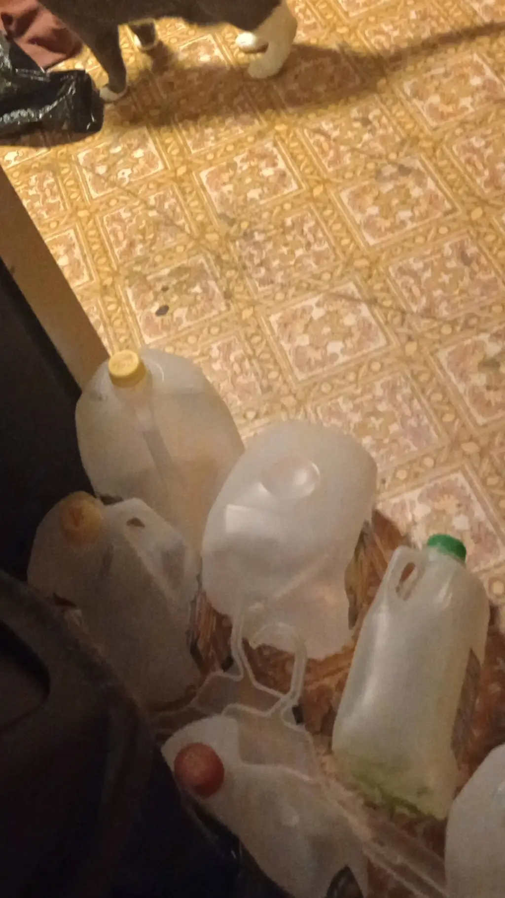 ai character: Chance no x mafios background