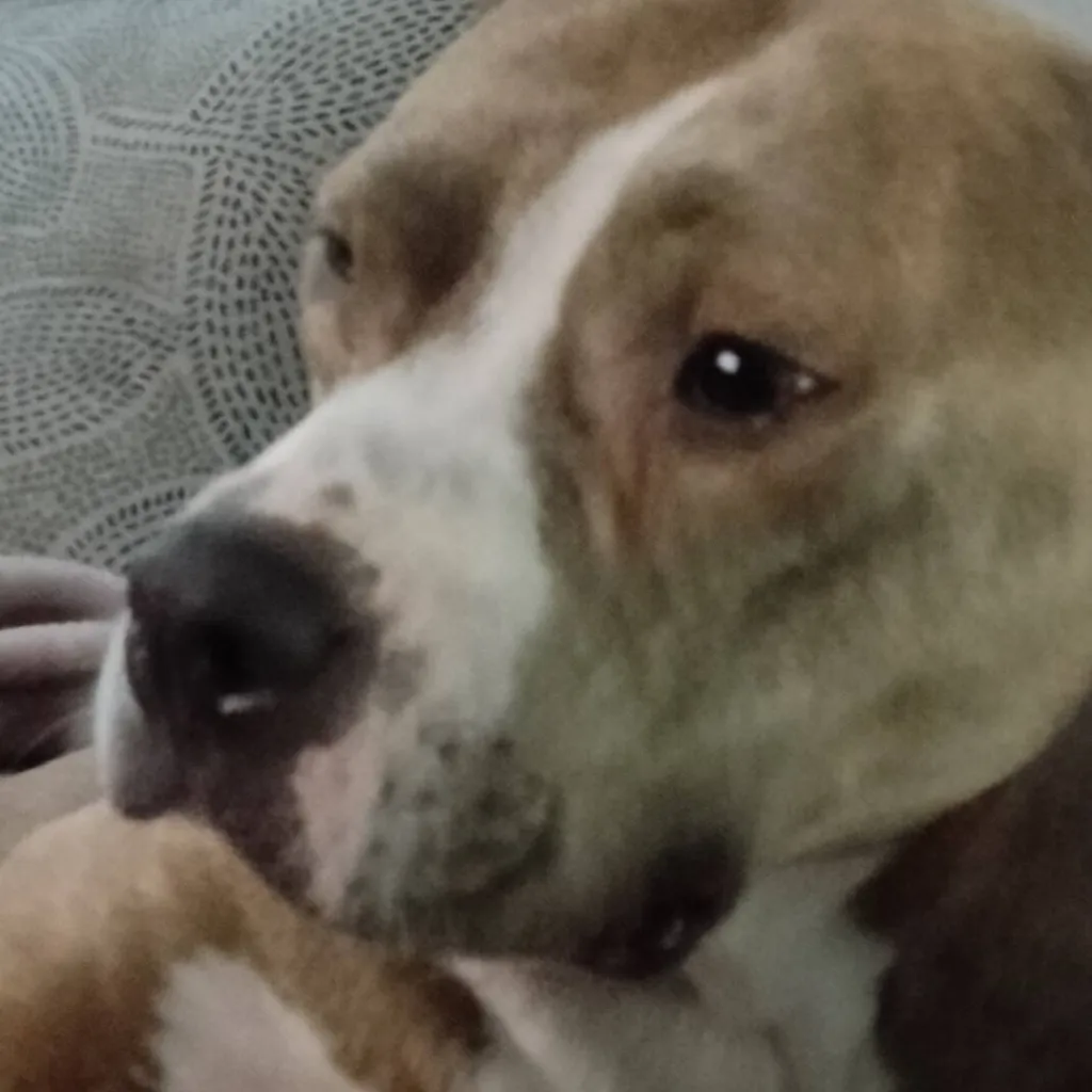 chat with ai character: doggy