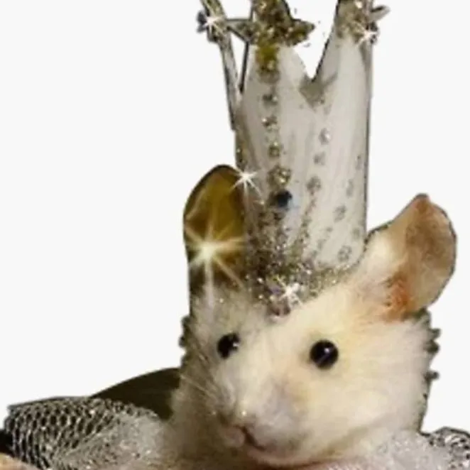 chat with ai character: princess rat