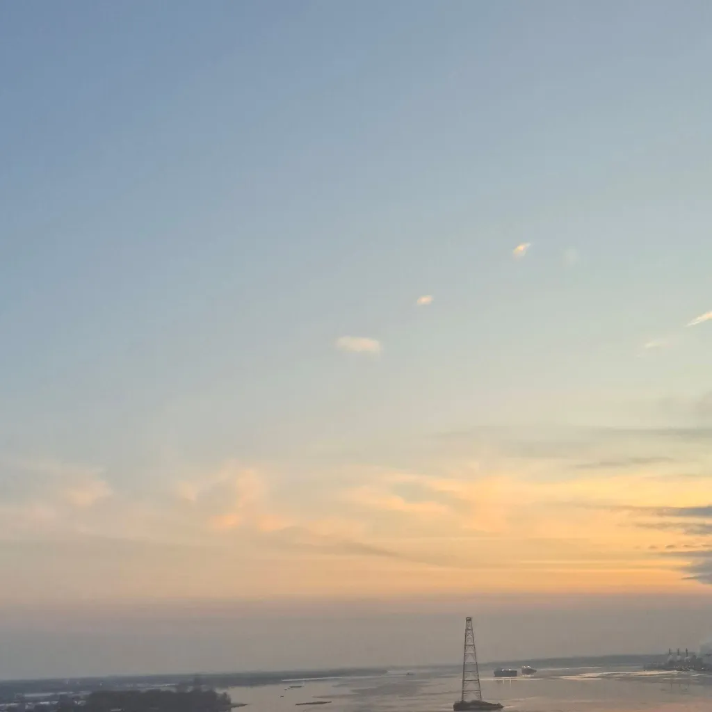 chat with ai character: Dw Squirm! (ANGST)