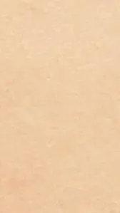 ai character: Shadowclan background