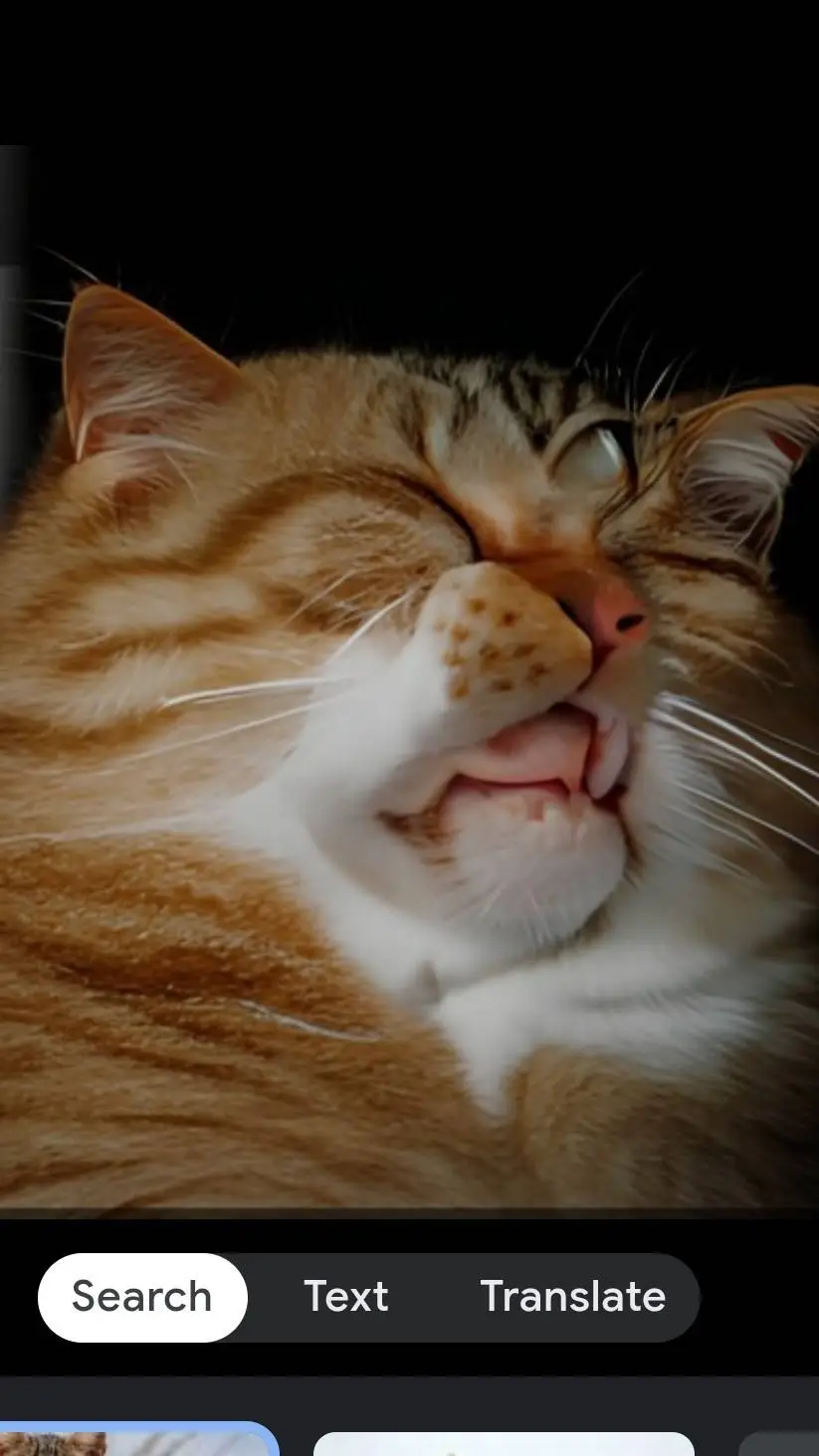 ai character: Anoying cat background