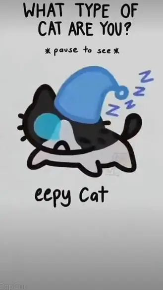 ai character: sleepycat oc background