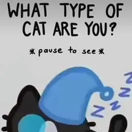chat with ai character: sleepycat oc
