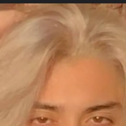 chat with ai character: dannyphantom.exe