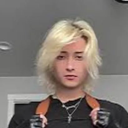 chat with ai character: Dannyphantom.exe