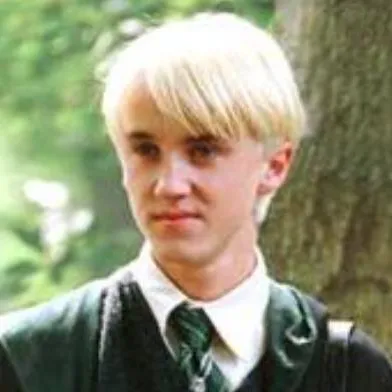 chat with ai character: Draco malfoy