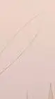 ai character: ds background
