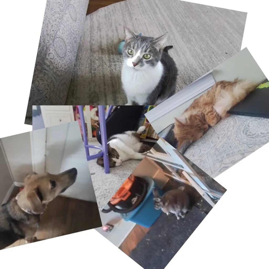 chat with ai character: your pets