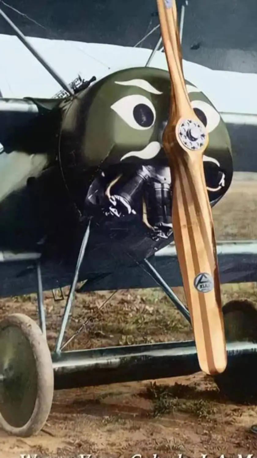 ai character: Fokker Dr-1  background