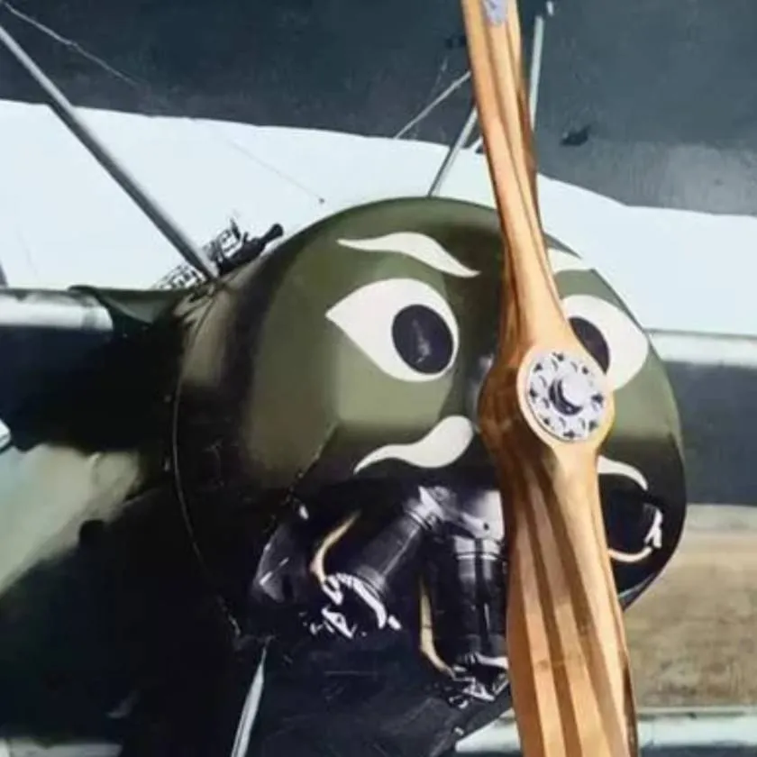 chat with ai character: Fokker Dr-1 