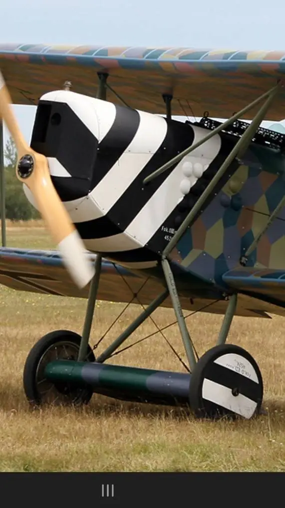 ai character: Fokker D-7 background