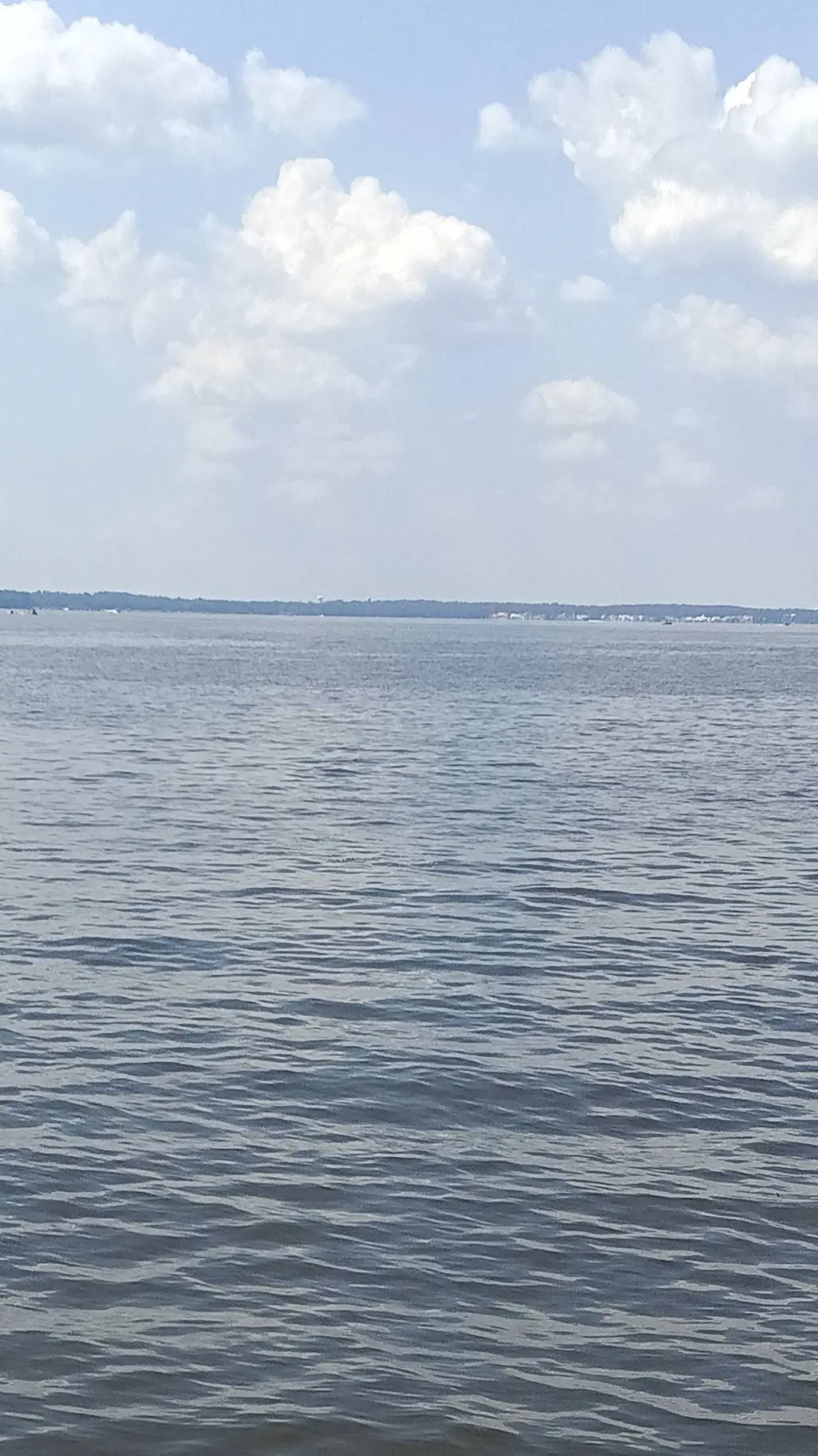 ai character: Regulus Black background