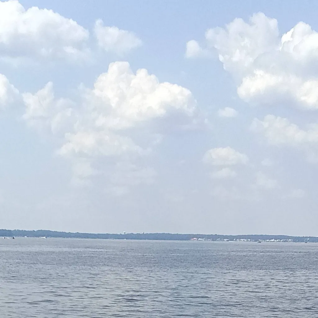 chat with ai character: Regulus Black