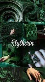 ai character: Slytherin fight  background