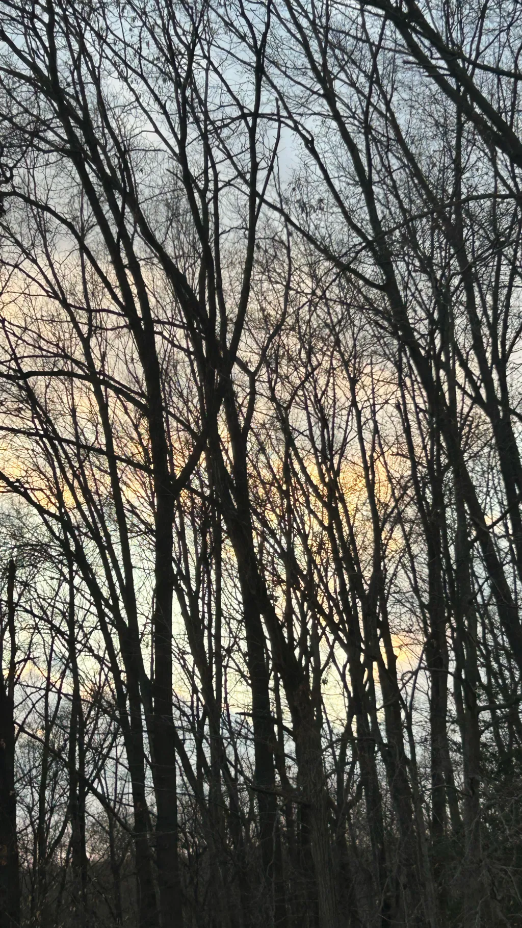 ai character: Idkk background