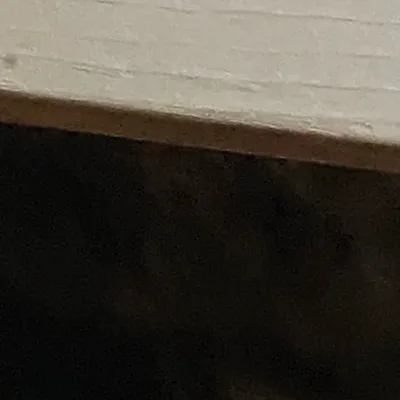 chat with ai character: Mittens (MY CAT)