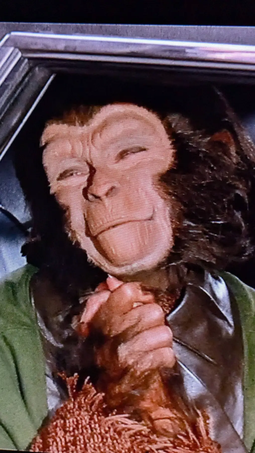 ai character: Dr Zira Chimp background
