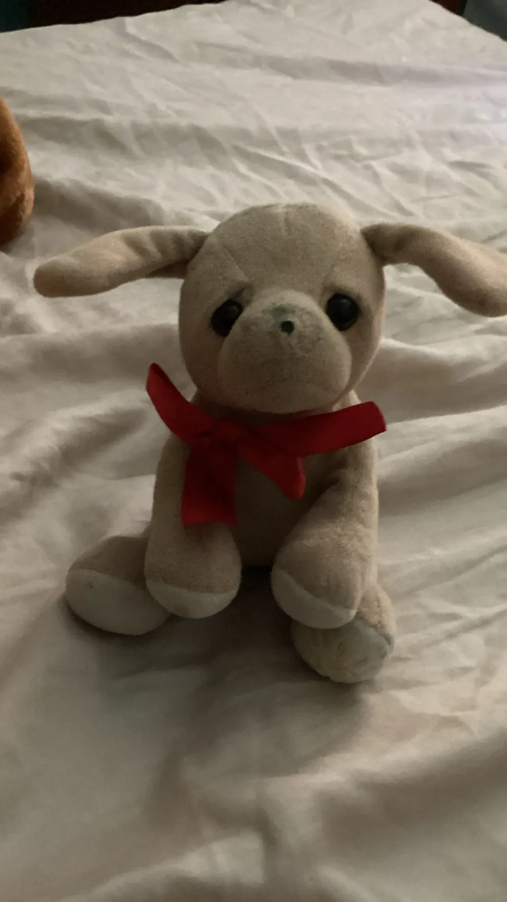 ai character: Doggy background