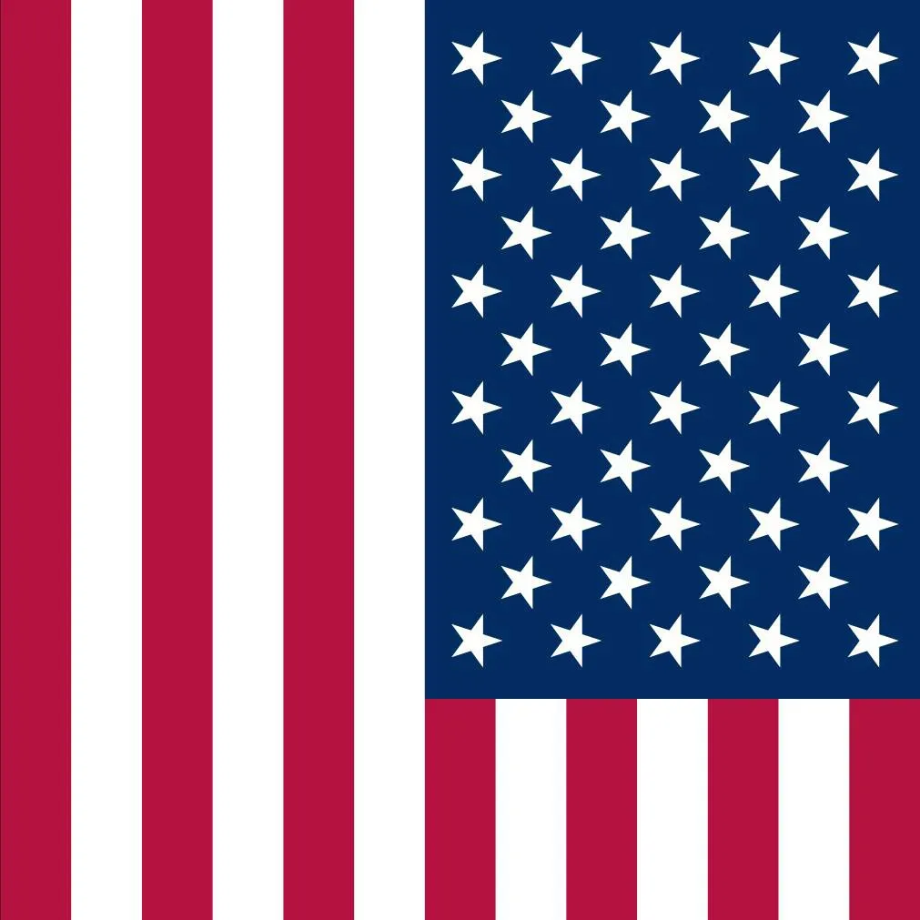 chat with ai character: United States