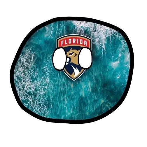 chat with ai character: Florida Panthers 