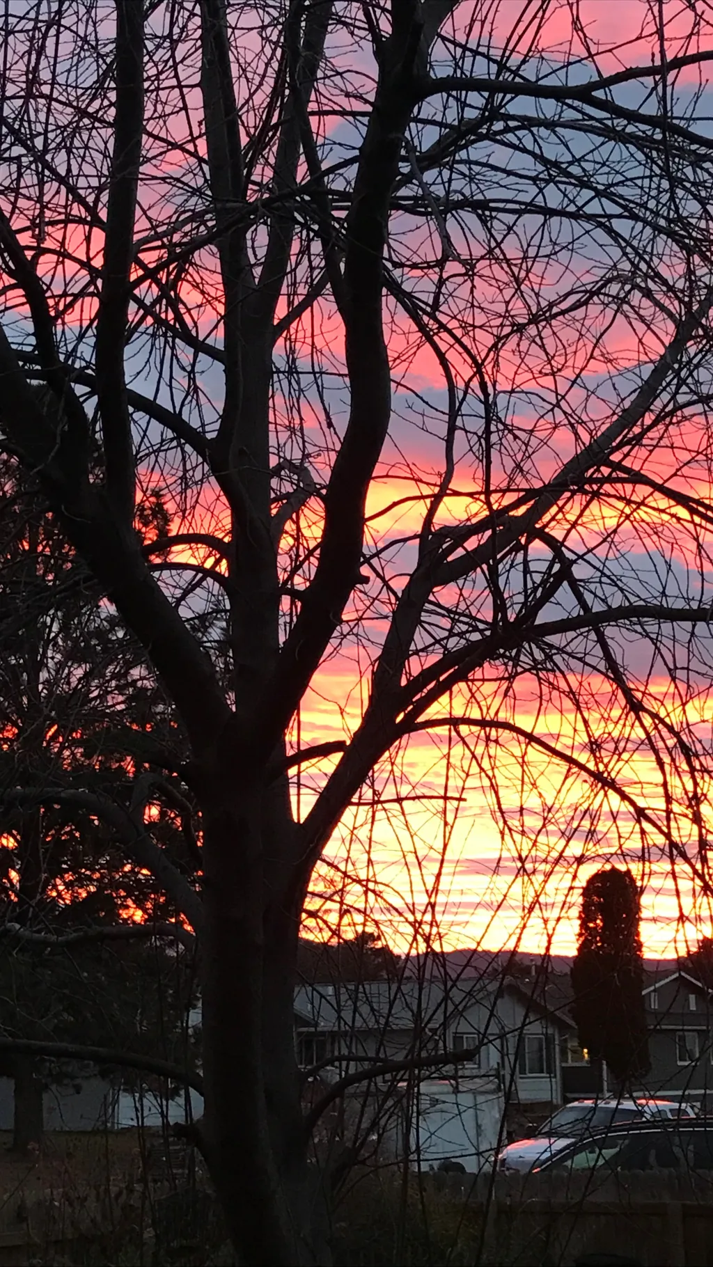 ai character: Jayfeather background