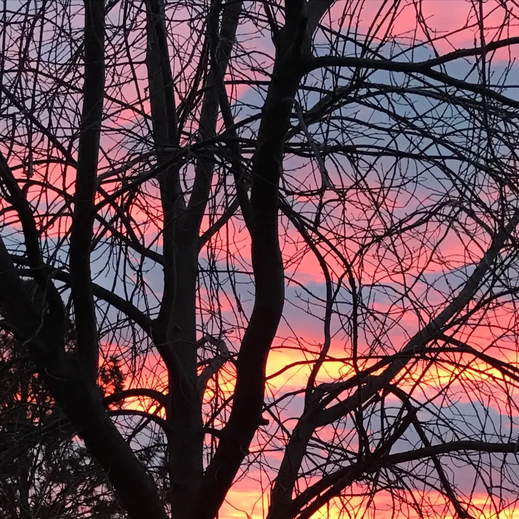 chat with ai character: Jayfeather