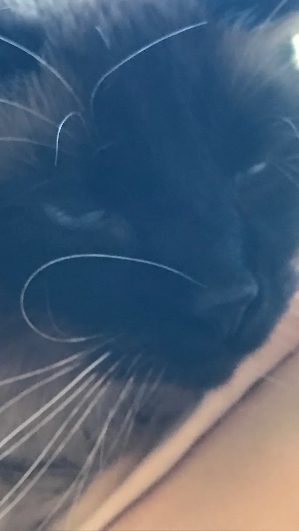 ai character: Thunderclan background