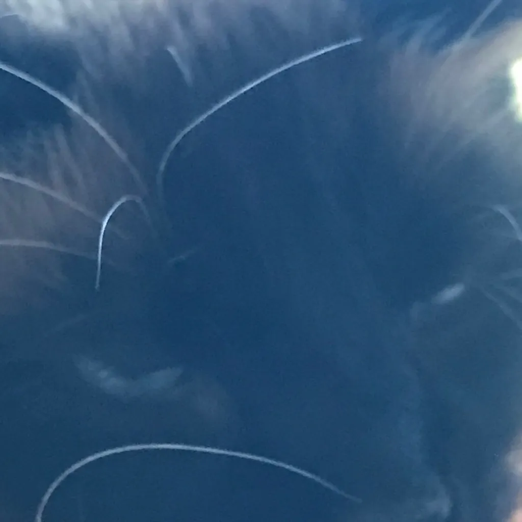 chat with ai character: Thunderclan