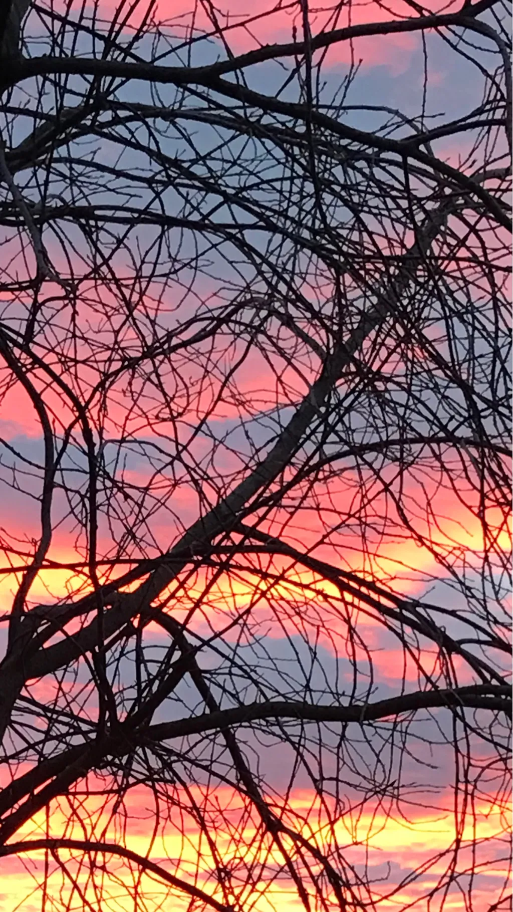 ai character: Winterclan background