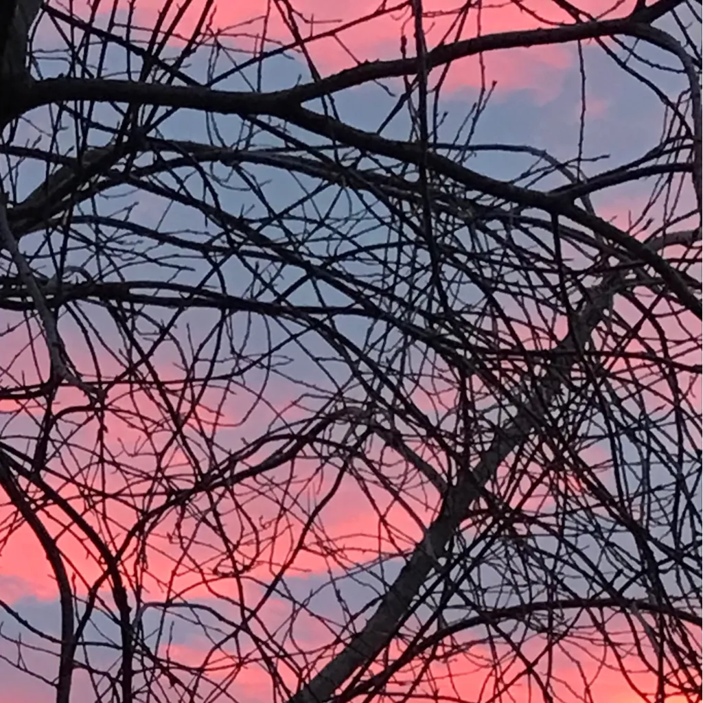 chat with ai character: Winterclan