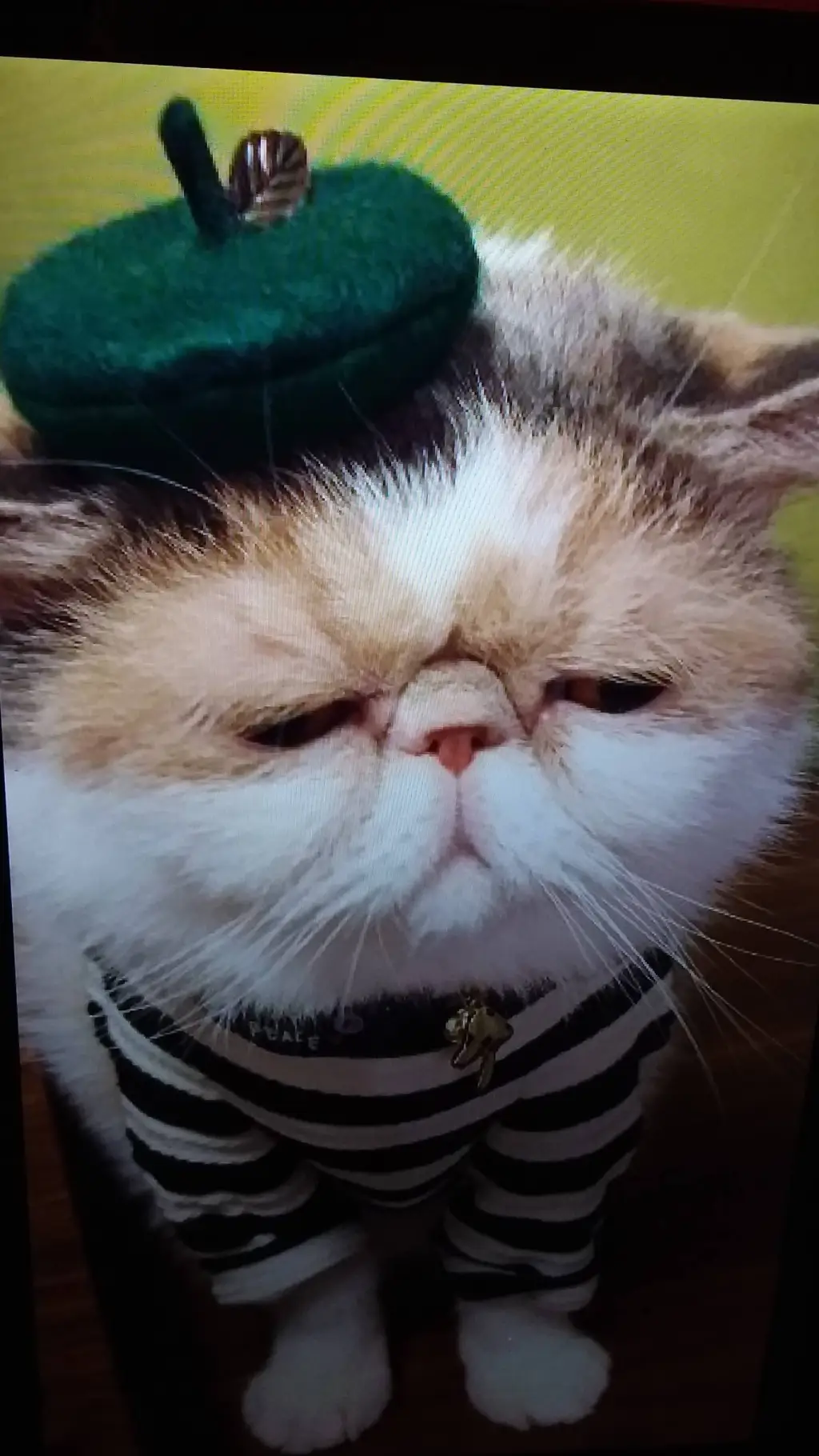 Talkie AI - Chat with Xián