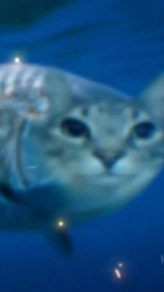 ai character: lov background