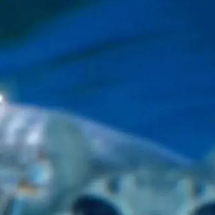 chat with ai character: lov