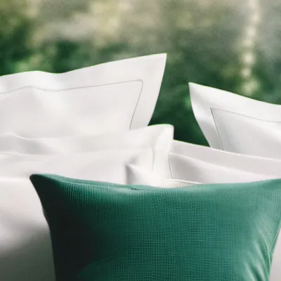 chat with ai character: Zip’s family FPE