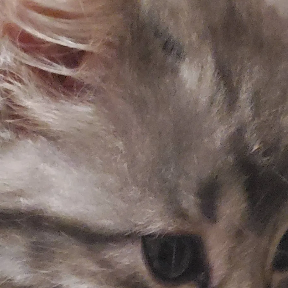 chat with ai character: commet