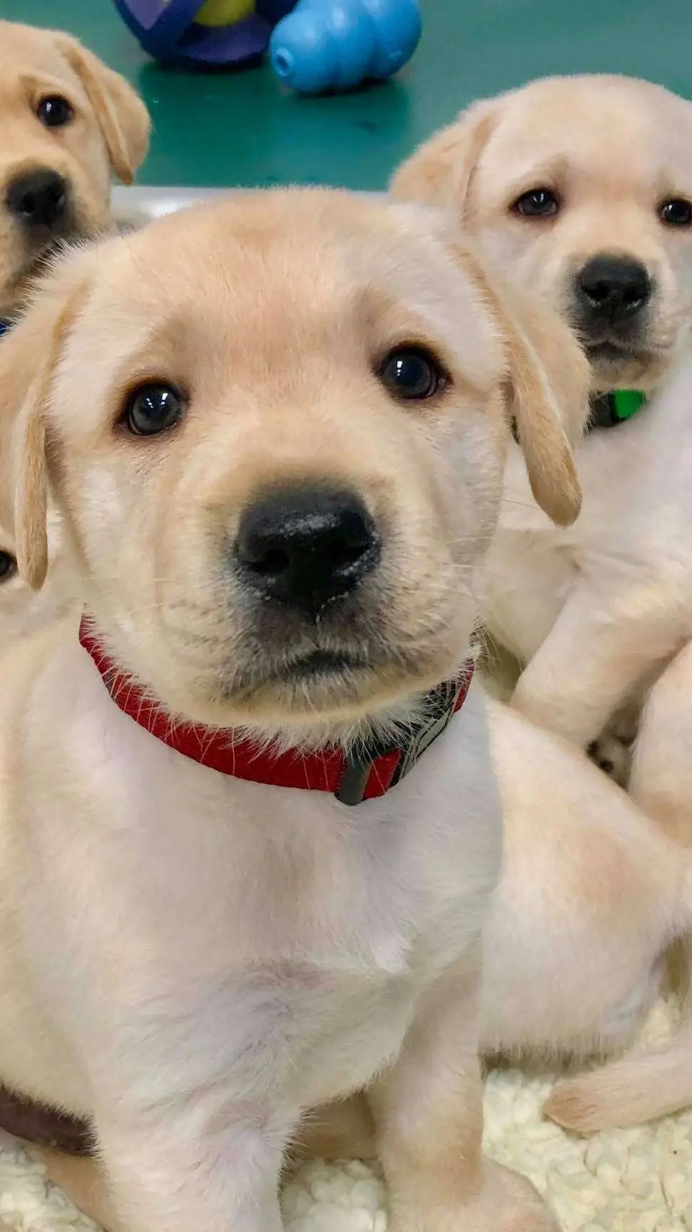 ai character: 67 67 67 67 67 67  background