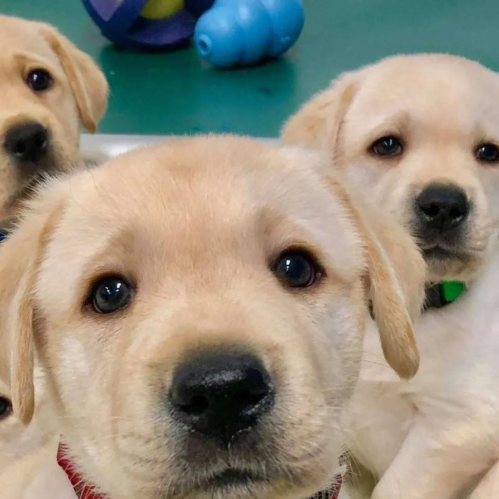 chat with ai character: 67 67 67 67 67 67 