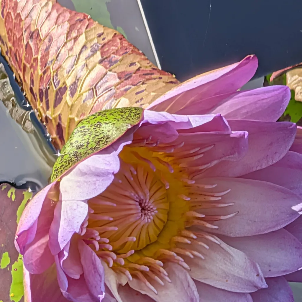 chat with ai character: freaky flower... 