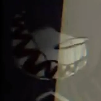 chat with ai character: Parasite Thavel