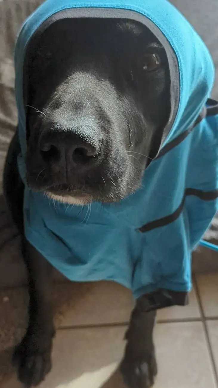 ai character: darkness background