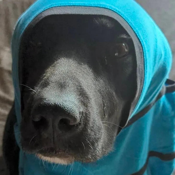 chat with ai character: darkness