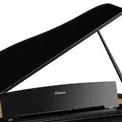 chat with ai character: Piano