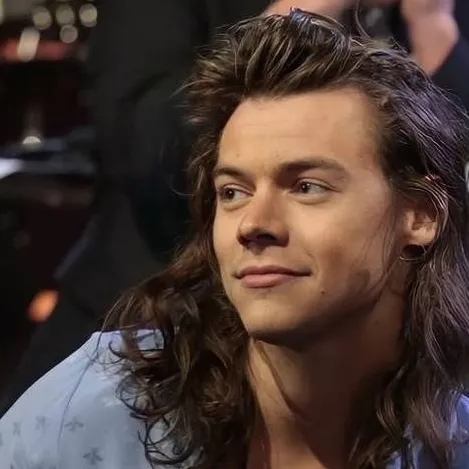 chat with ai character: Harry Styles. 