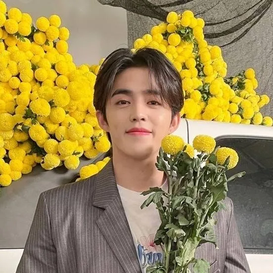 chat with ai character: Seungcheol