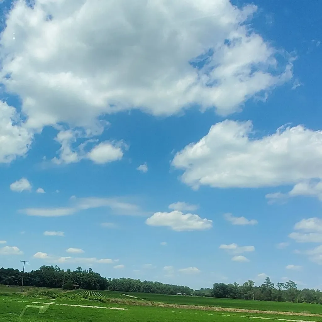 chat with ai character: grass